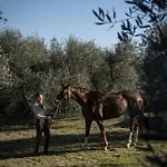 Fattoria La Loggia Çiftlik konaklama San Casciano in Val di Pesa